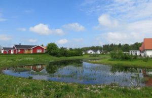 Dagvattendamm på grönyta framför en grupp hus