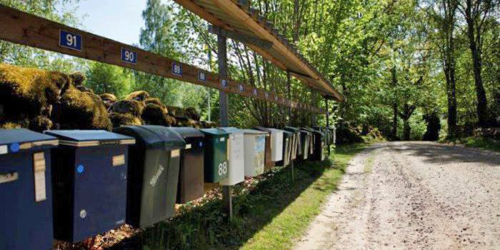 Postlådor på rad vid en grusväg med skog i bakgrunden