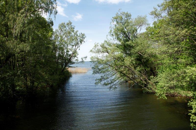 En vy över vik vid sjö