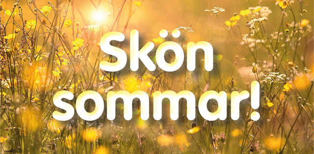 Text Skön Sommar gulgrön blomsterbädd